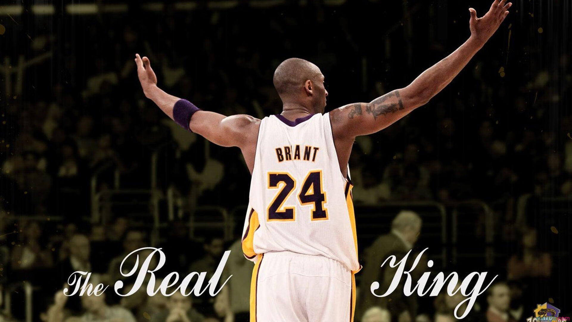 吉林队压制国王，福克斯成为关键先生